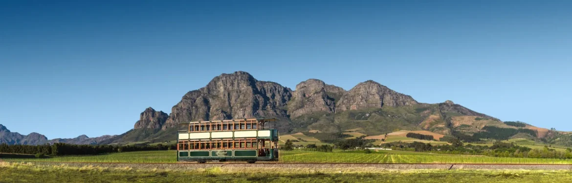 The Wine Tram: A Great Experience
