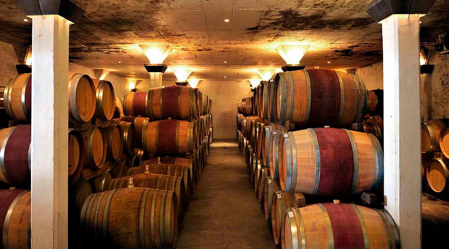 5 Red Wines to Taste This Winter in Franschhoek